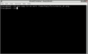 Qube OS Domain 0 terminal