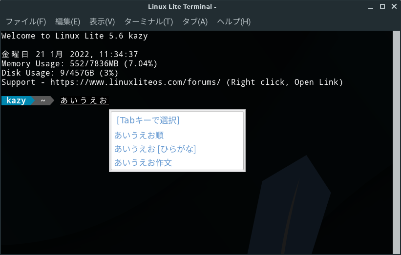 Linux Liteターミナル画面